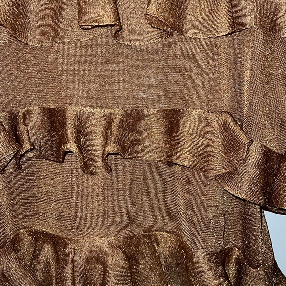 ZARA | Cropped Ruffled & Sheer Metallic Top - Picture 5 of 6